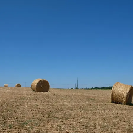 Chateau La Colombie Saint-Caprais-de-Lerm