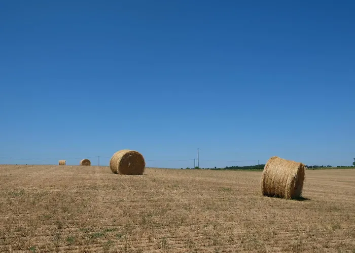 Chateau La Colombie Saint-Caprais-de-Lerm